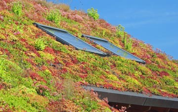 Waldringfield Heath living roof systems