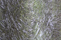 Waldringfield Heath fibreglass roof work